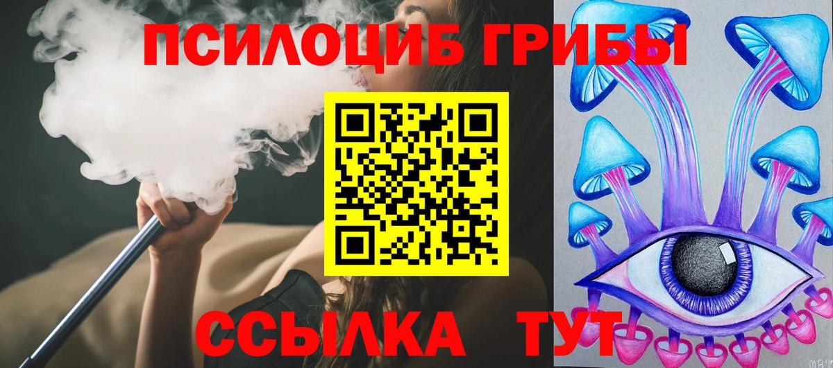 Фролово  Псилоцибиновые грибы Psilocybe  Вход с VPN 